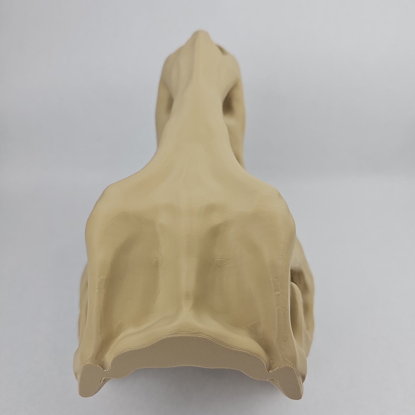 T-Rex Dinosaur Skull - 11" Long x 8" Tall