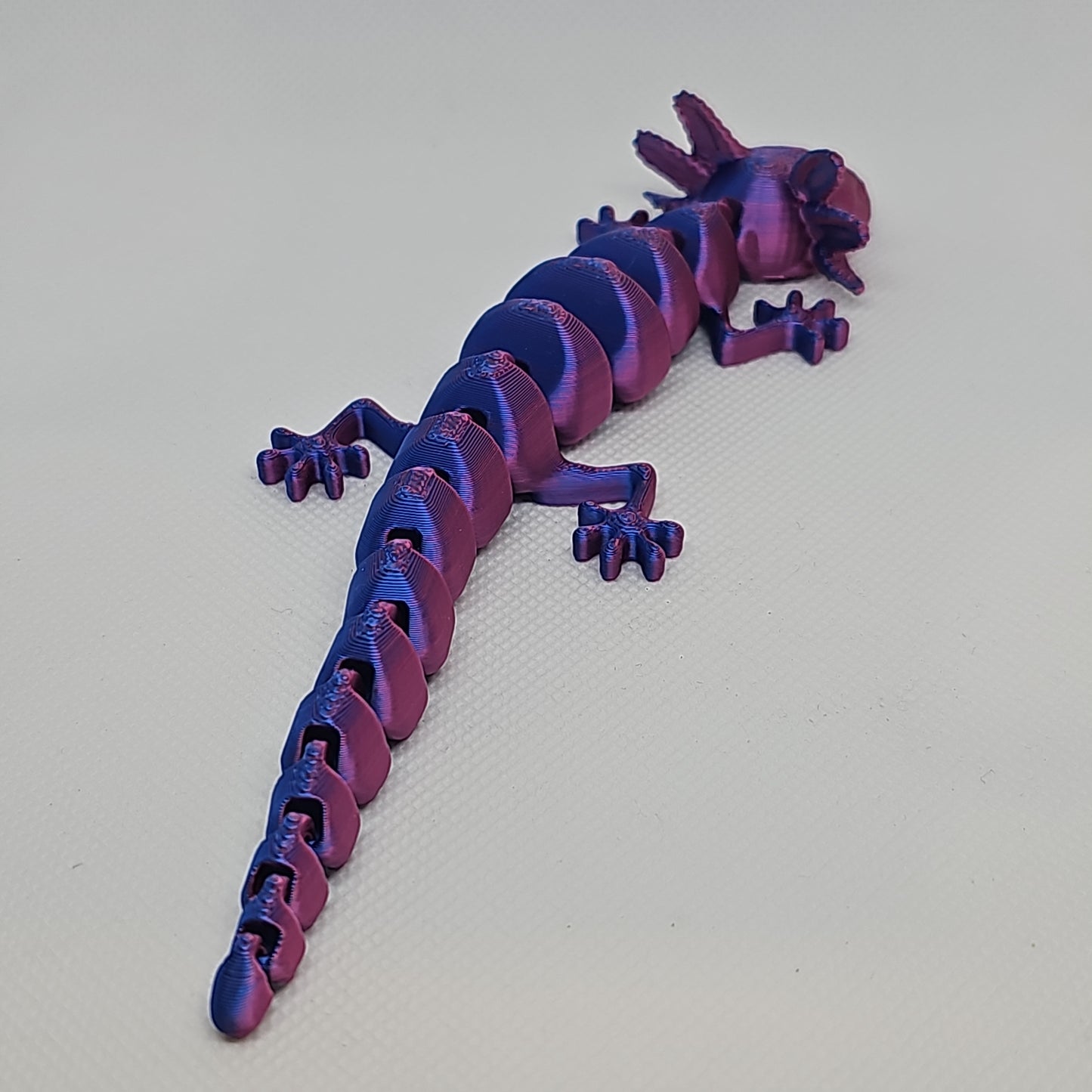 Axolotl