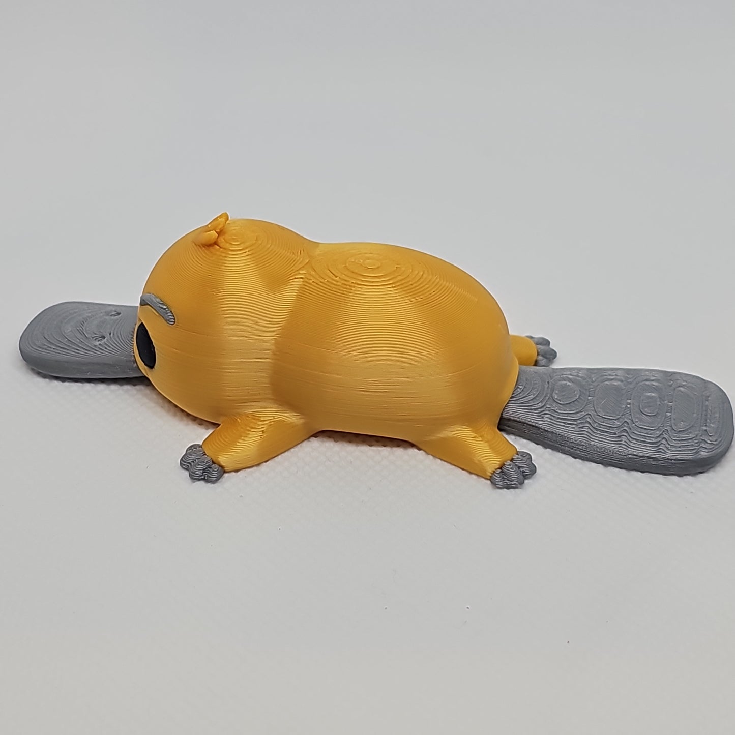Platypus