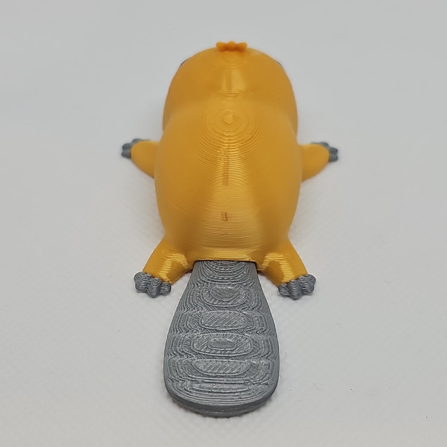 Platypus