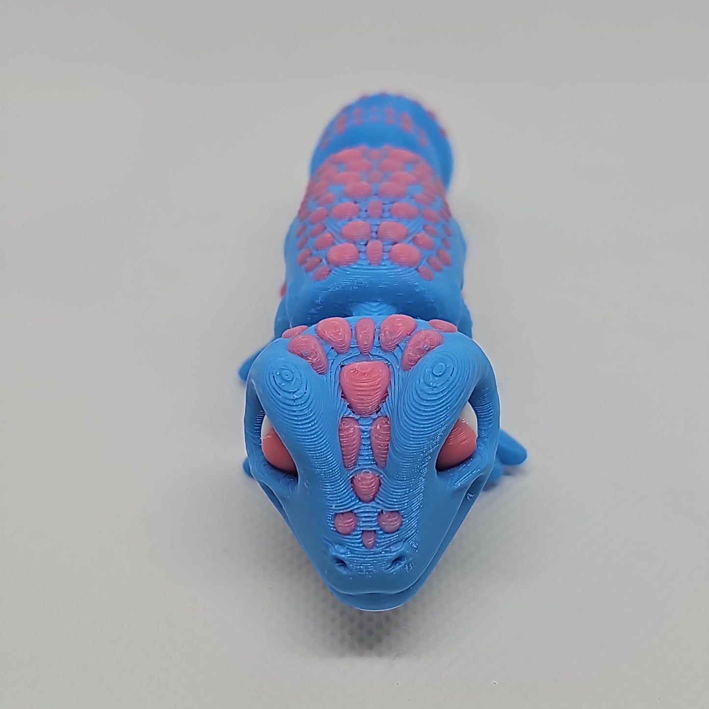 Lizard