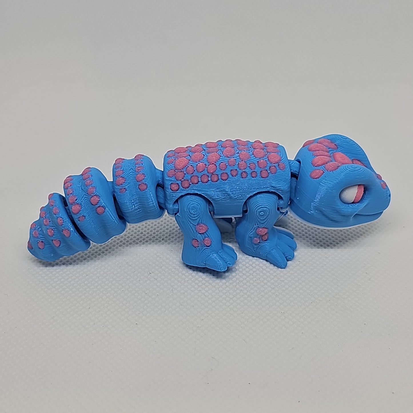 Lizard
