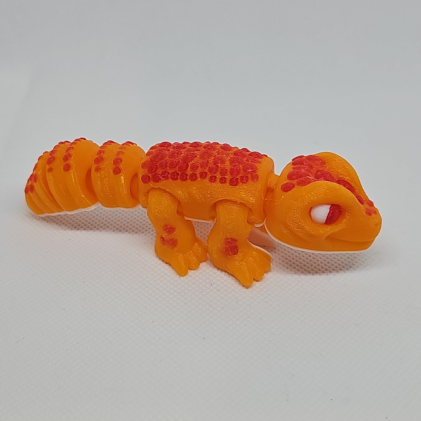Lizard