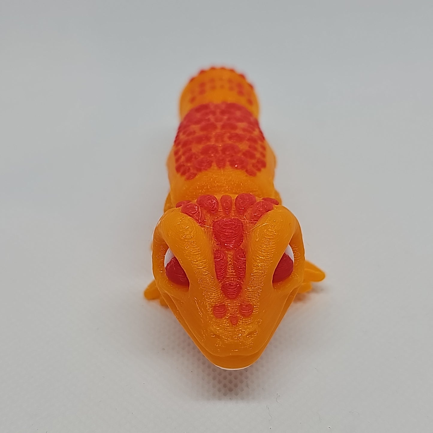 Lizard