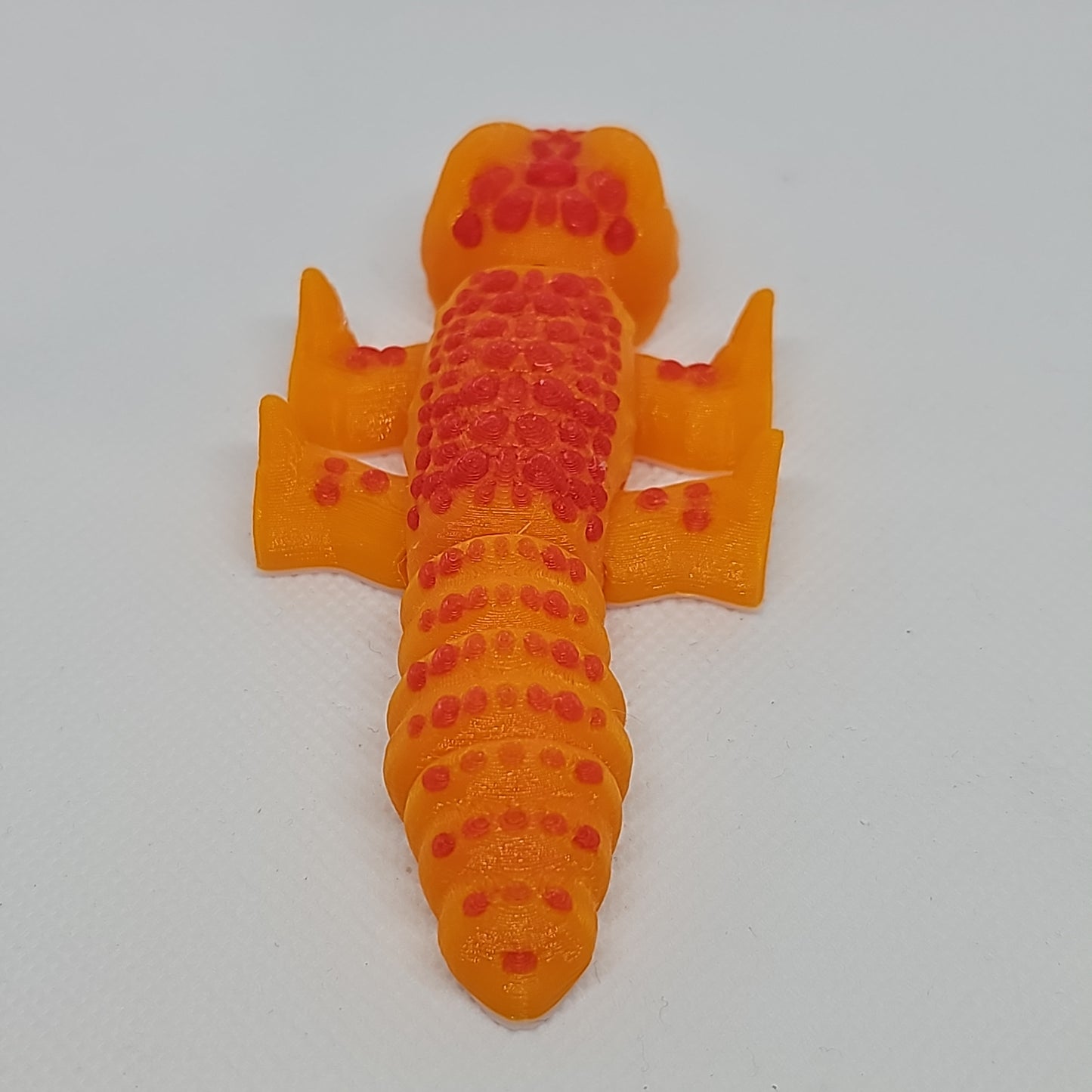 Lizard