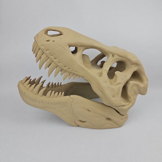 T-Rex Dinosaur Skull - 11" Long x 8" Tall